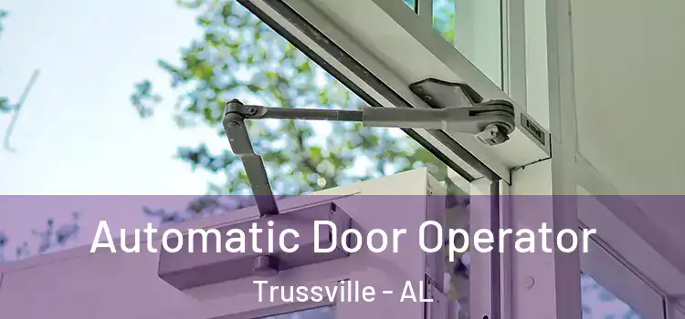  Automatic Door Operator Trussville - AL