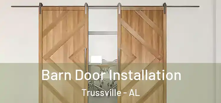  Barn Door Installation Trussville - AL