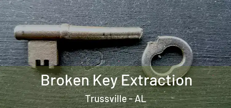  Broken Key Extraction Trussville - AL