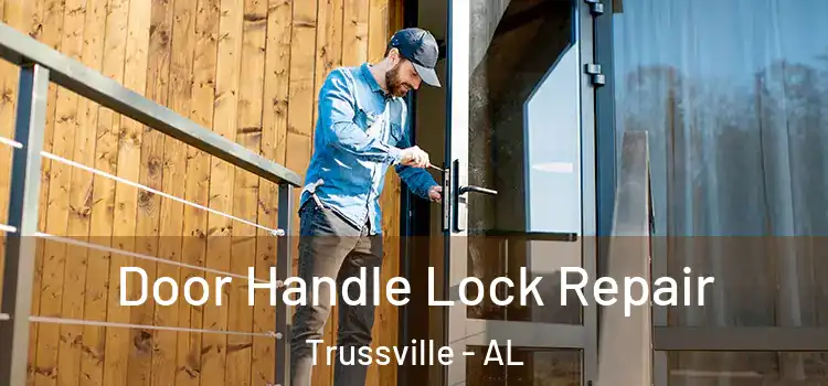 Door Handle Lock Repair Trussville - AL