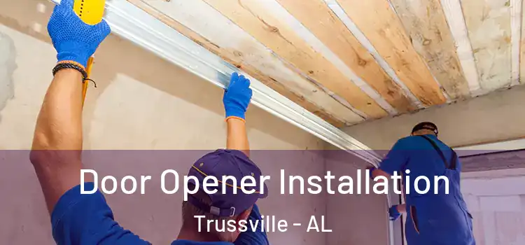  Door Opener Installation Trussville - AL