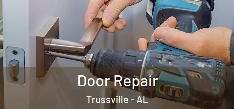  Door Repair Trussville - AL