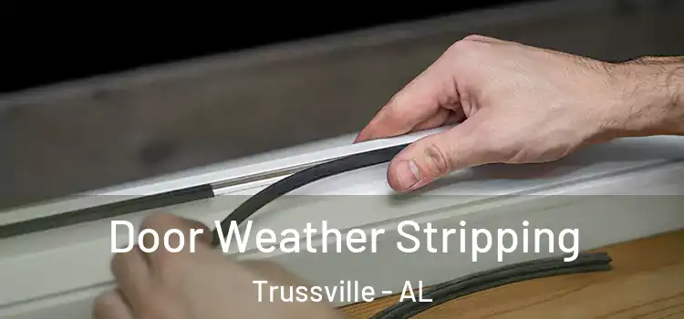 Door Weather Stripping Trussville - AL