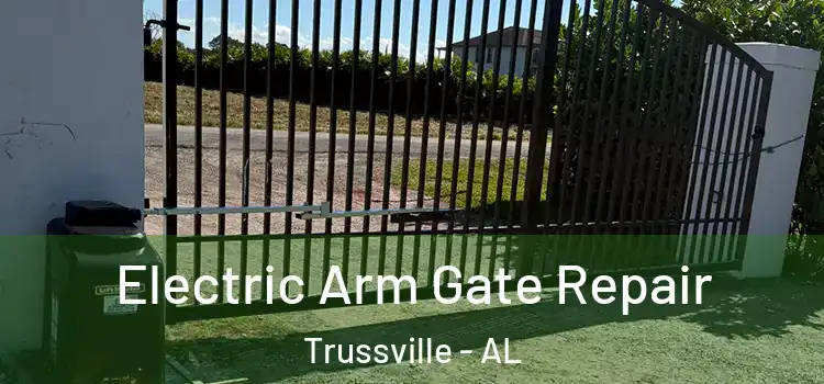 Electric Arm Gate Repair Trussville - AL