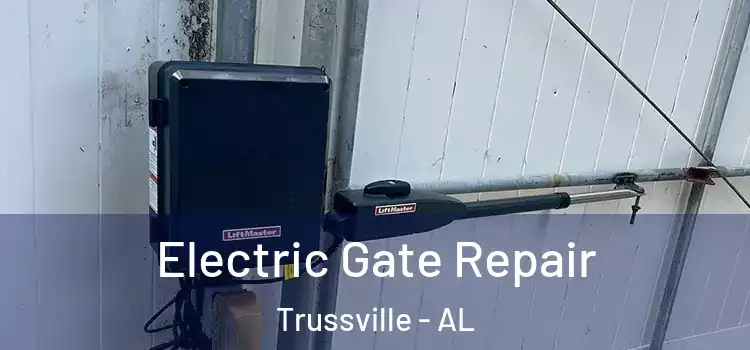 Electric Gate Repair Trussville - AL