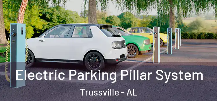  Electric Parking Pillar System Trussville - AL