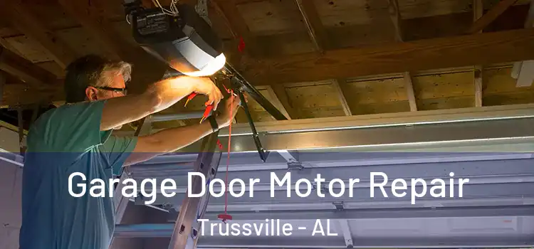  Garage Door Motor Repair Trussville - AL