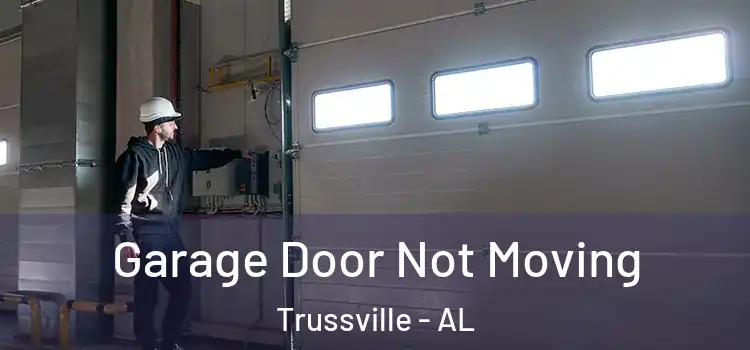  Garage Door Not Moving Trussville - AL