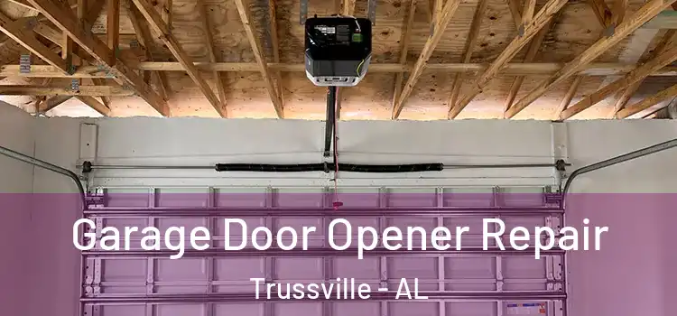  Garage Door Opener Repair Trussville - AL