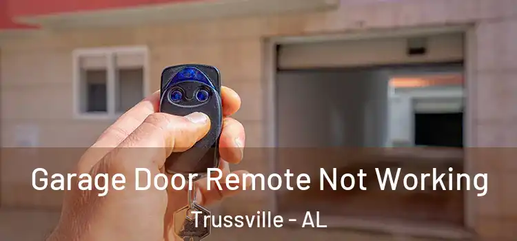  Garage Door Remote Not Working Trussville - AL