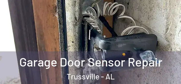 Garage Door Sensor Repair Trussville - AL