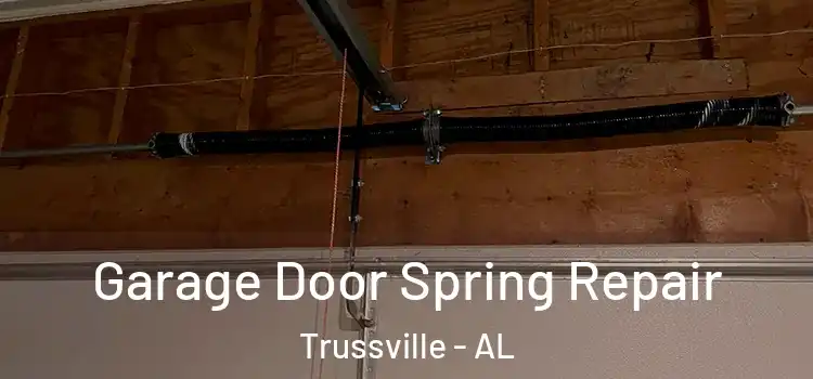  Garage Door Spring Repair Trussville - AL