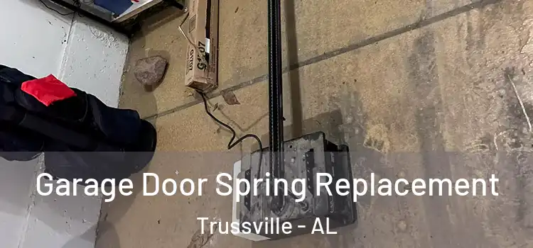  Garage Door Spring Replacement Trussville - AL