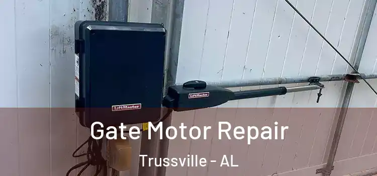 Gate Motor Repair Trussville - AL