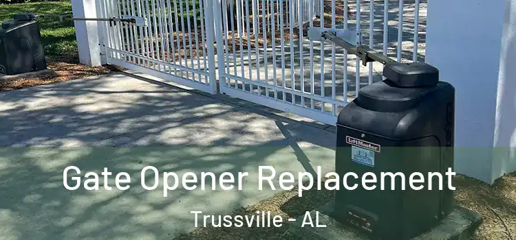  Gate Opener Replacement Trussville - AL