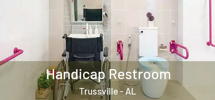  Handicap Restroom Trussville - AL
