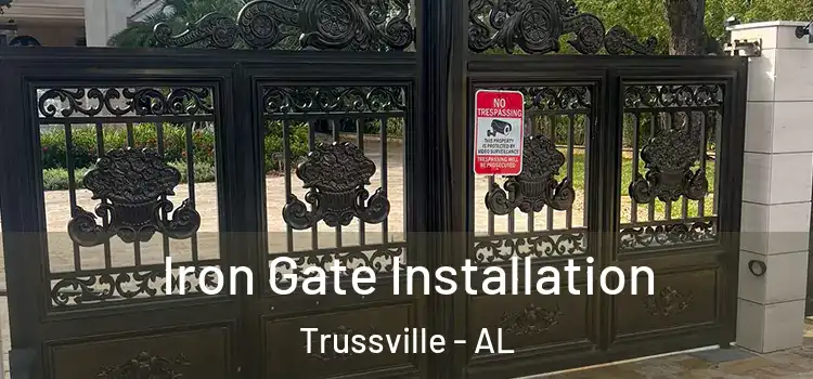 Iron Gate Installation Trussville - AL