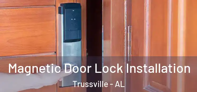 Magnetic Door Lock Installation Trussville - AL