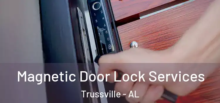 Magnetic Door Lock Services Trussville - AL
