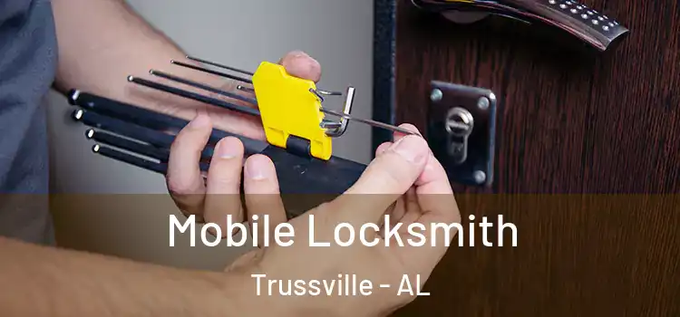  Mobile Locksmith Trussville - AL