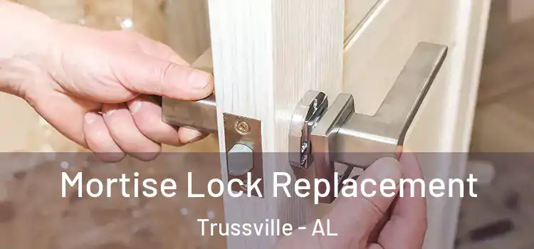  Mortise Lock Replacement Trussville - AL