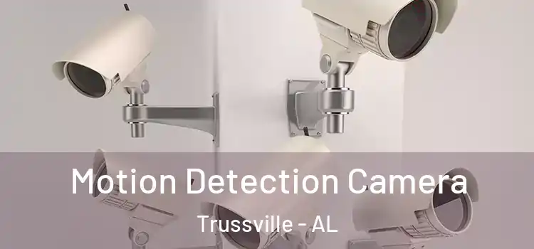  Motion Detection Camera Trussville - AL