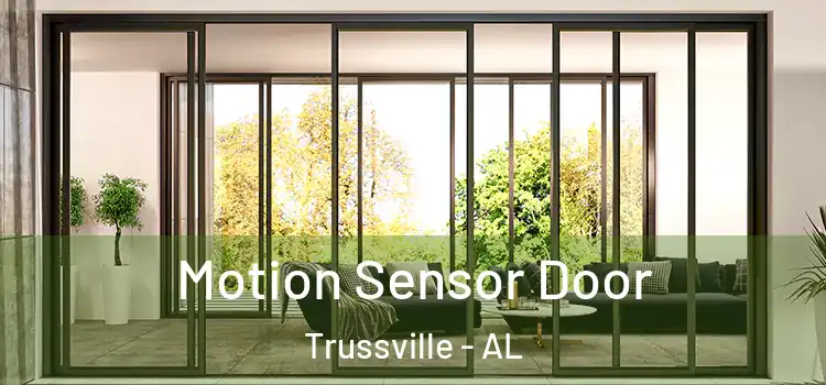  Motion Sensor Door Trussville - AL