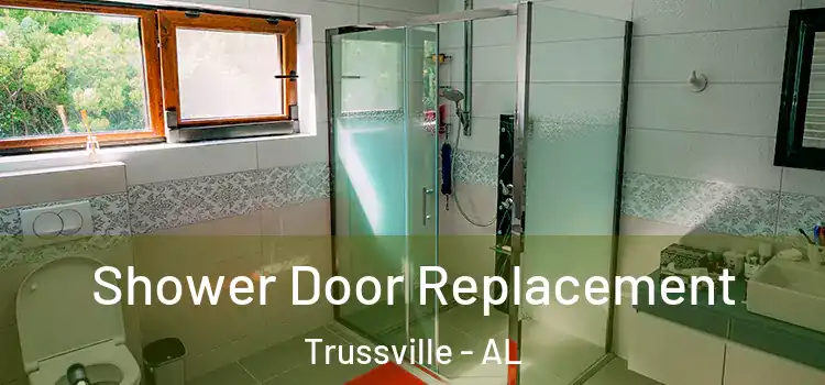 Shower Door Replacement Trussville - AL