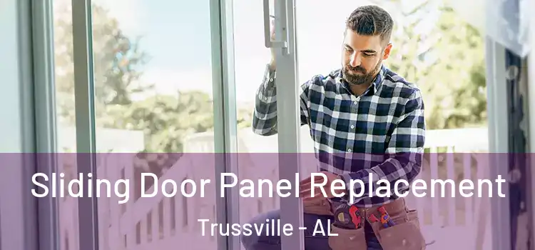  Sliding Door Panel Replacement Trussville - AL