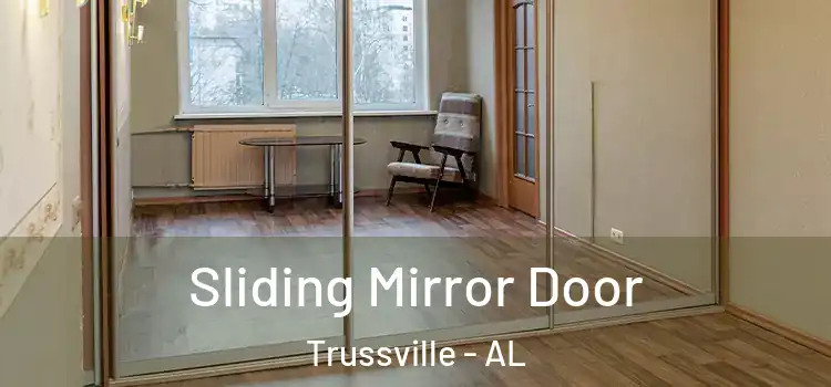  Sliding Mirror Door Trussville - AL
