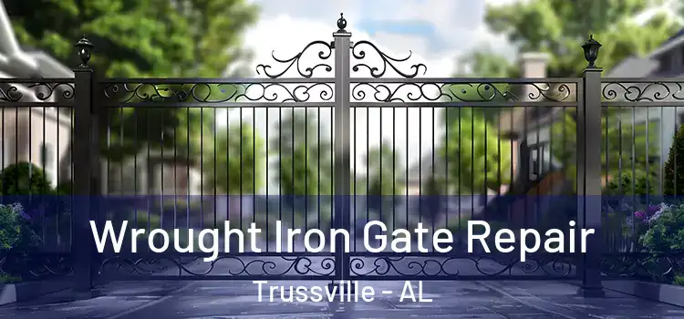 Wrought Iron Gate Repair Trussville - AL